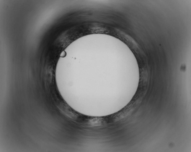 X0000101200761200807251026