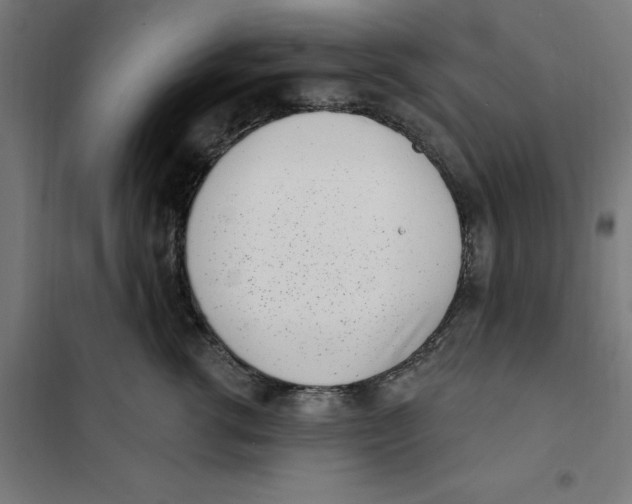 X0000101200762200807251026