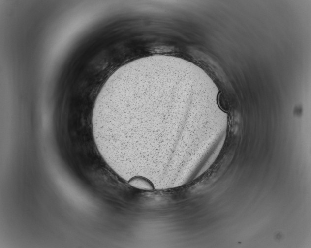 X0000101200763200807251026