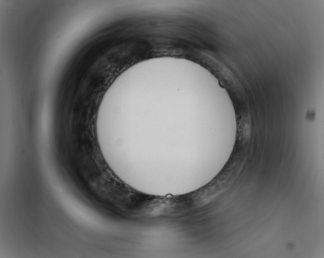 X0000101200764200807251026