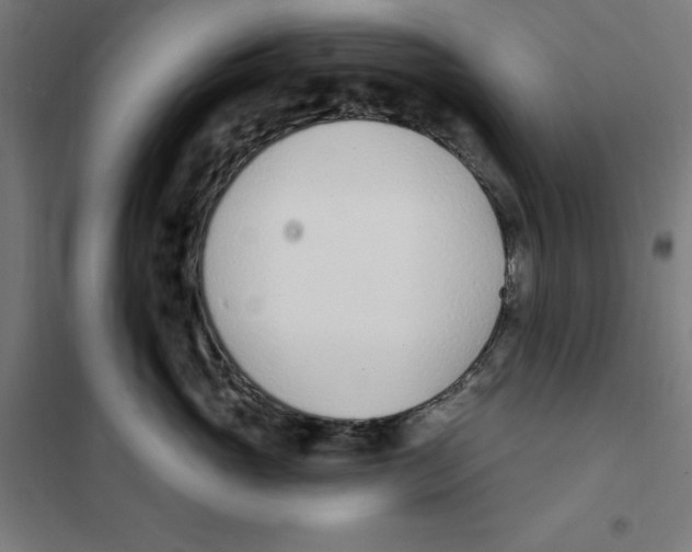 X0000101200765200807251026