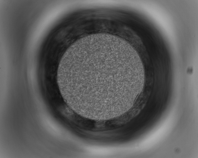 X0000101200766200807251026