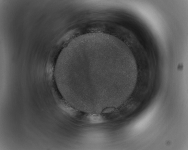 X0000101200767200807251026