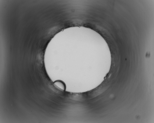 X0000101200768200807251026