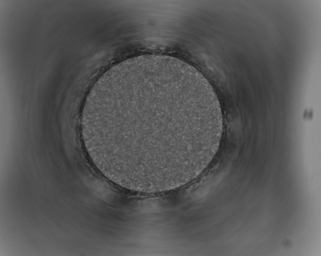 X0000101200769200807251025