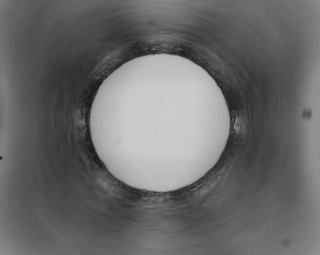 X0000101200771200807251025