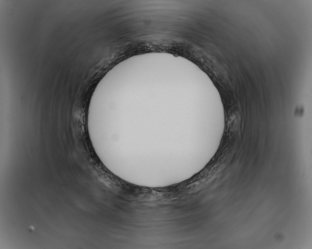 X0000101200772200807251025