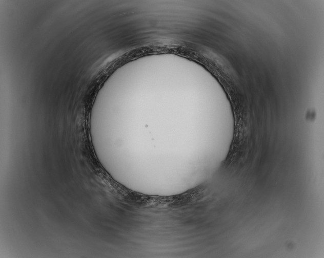 X0000101200773200807251025