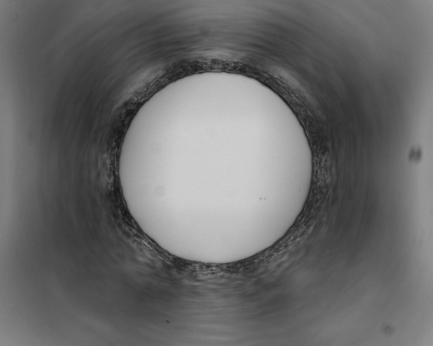 X0000101200774200807251025