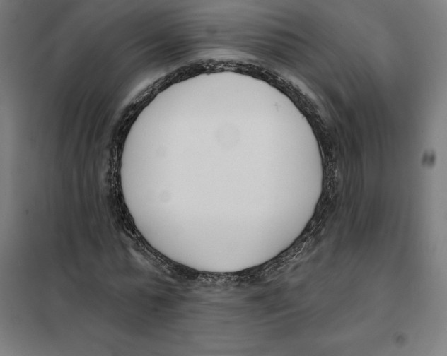 X0000101200775200807251025