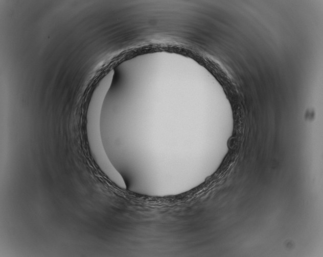 X0000101200776200807251025