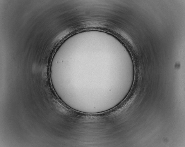 X0000101200777200807251025