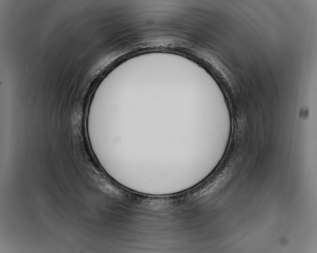 X0000101200778200807251025