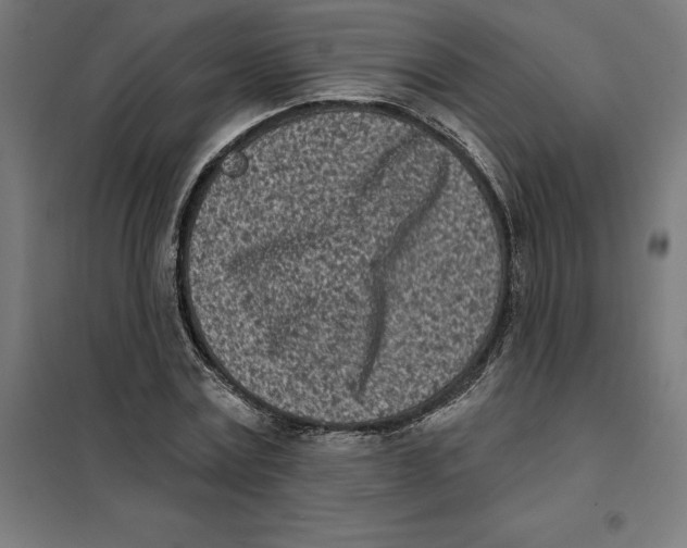 X0000101200779200807251024