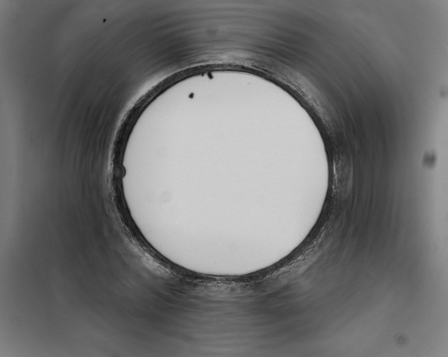 X0000101200780200807251024