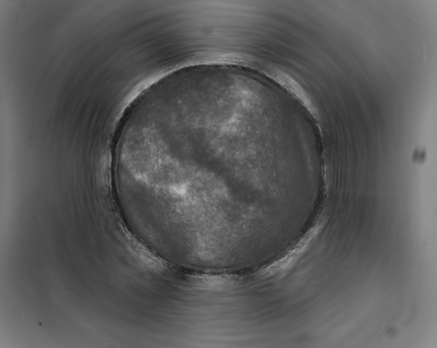 X0000101200781200807251024