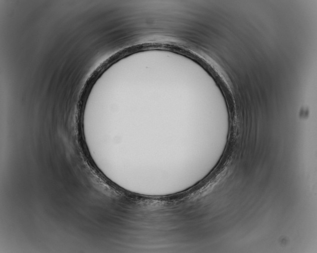 X0000101200783200807251024