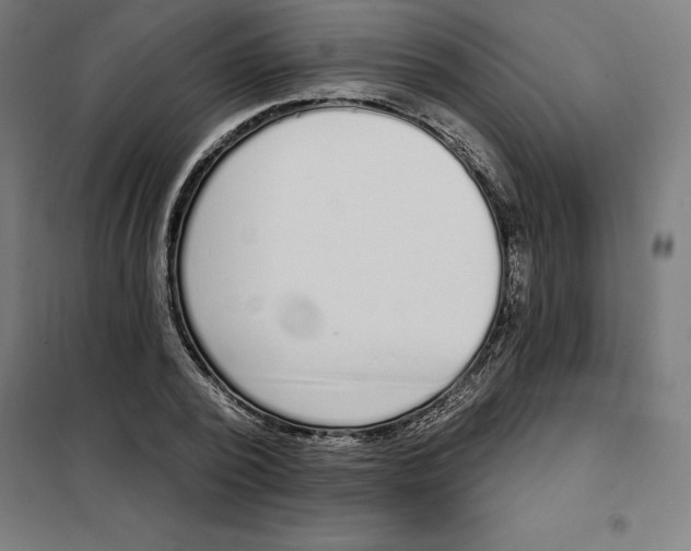 X0000101200784200807251024