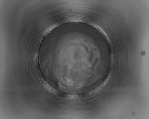 X0000101200785200807251024