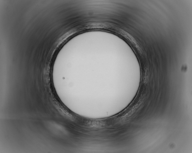 X0000101200786200807251024