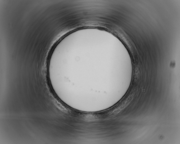 X0000101200787200807251024