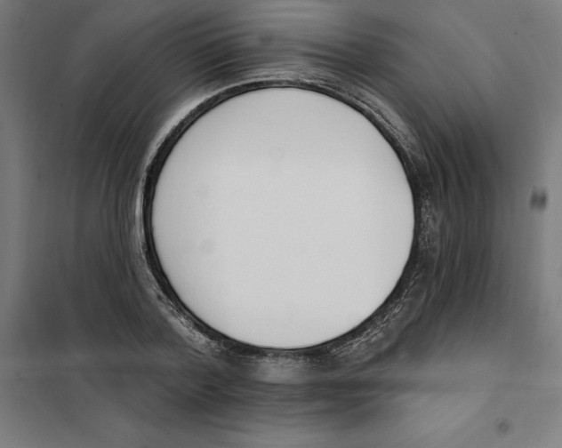 X0000101200788200807251024