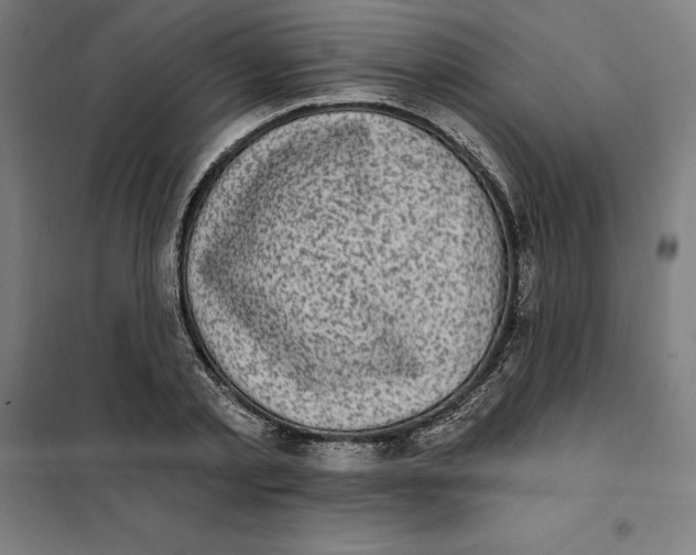 X0000101200789200807251024