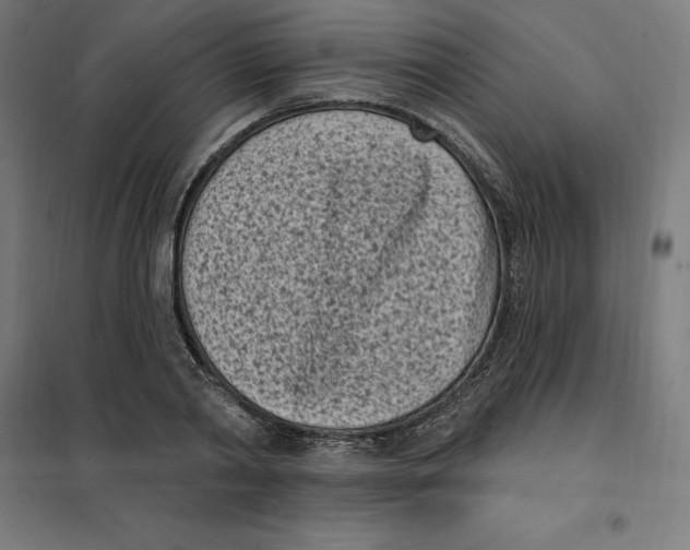 X0000101200790200807251024