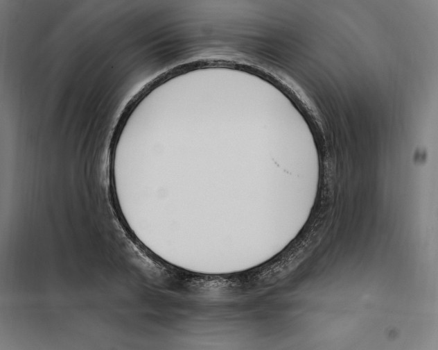 X0000101200791200807251024