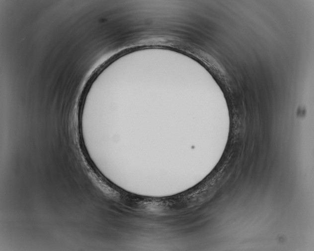 X0000101200792200807251024