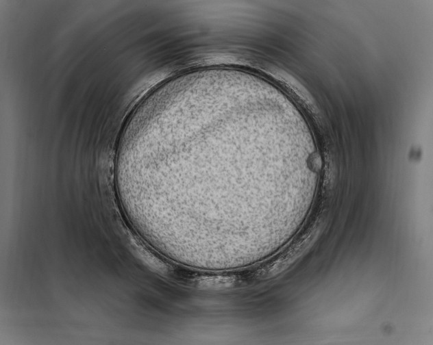 X0000101200793200807251024