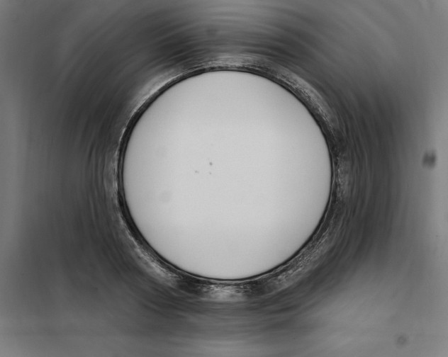 X0000101200794200807251024