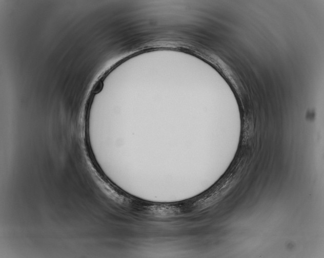 X0000101200795200807251024