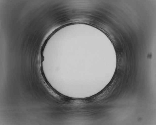 X0000101200796200807251024