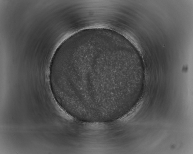 X0000101200797200807251024