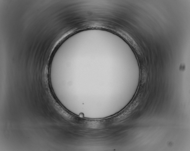 X0000101200798200807251024