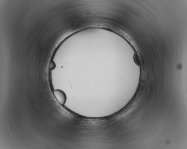 X0000101200803200807251024