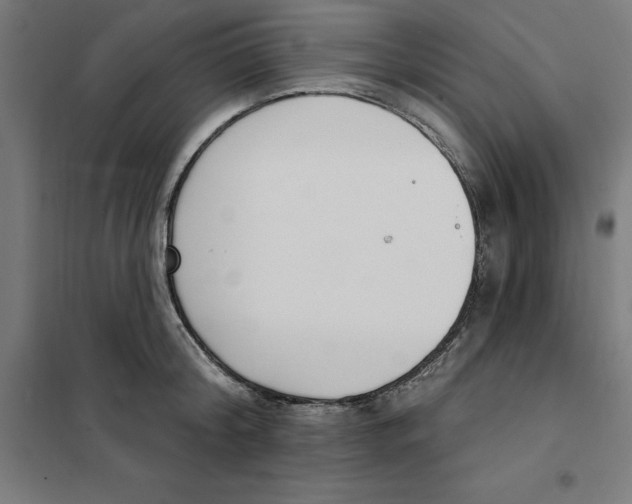 X0000101200804200807251024