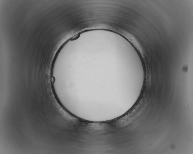 X0000101200805200807251024