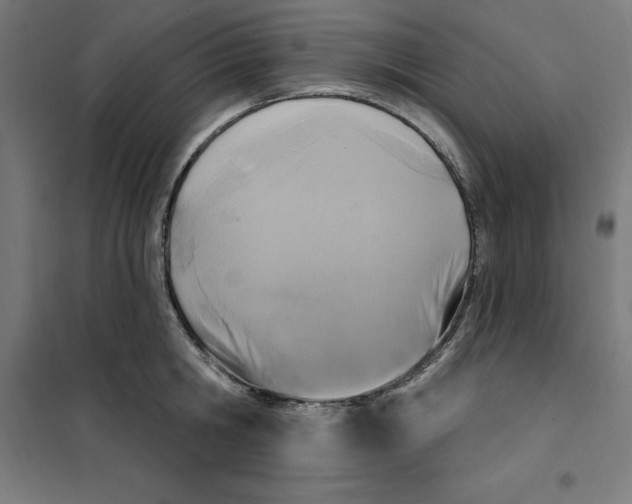 X0000101200806200807251024