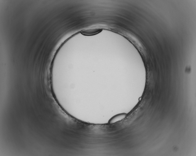 X0000101200808200807251024