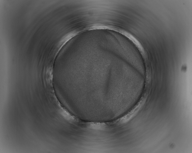 X0000101200809200807251024