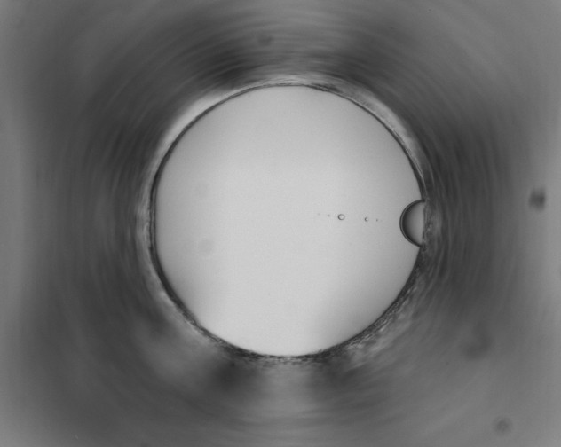 X0000101200811200807251024