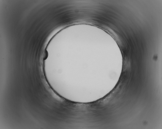 X0000101200812200807251024