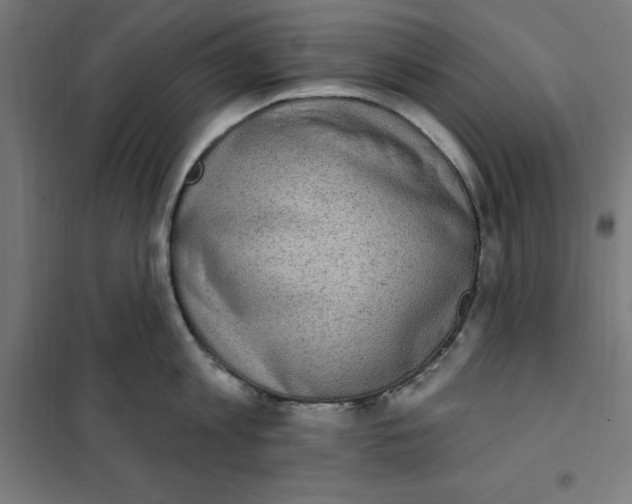 X0000101200813200807251024