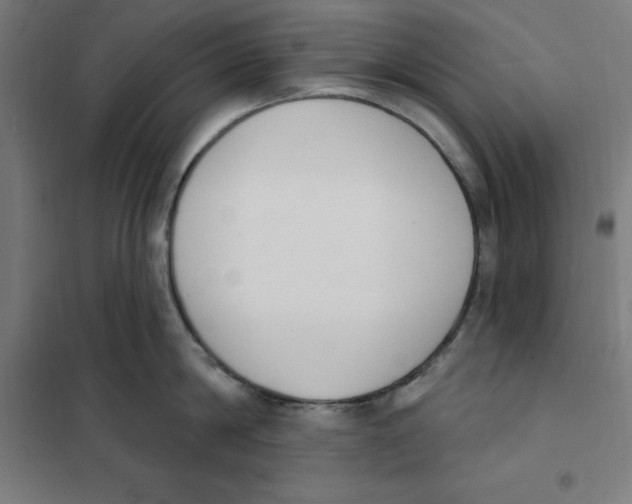 X0000101200814200807251024