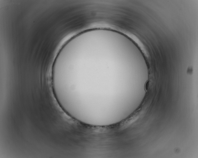 X0000101200815200807251024