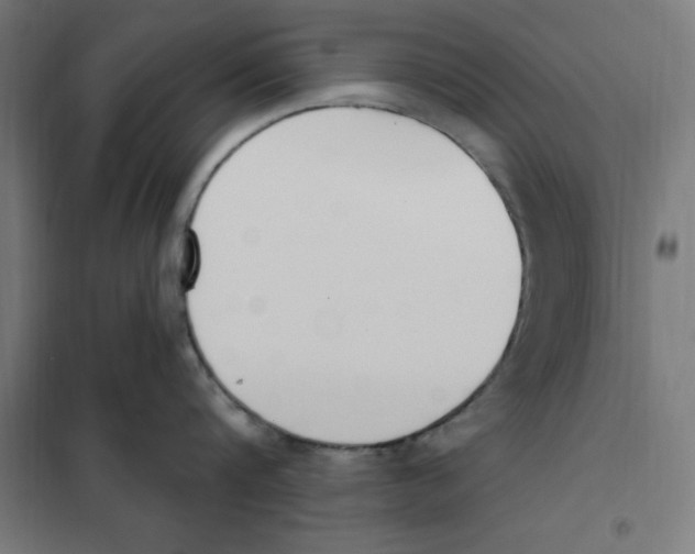 X0000101200816200807251024