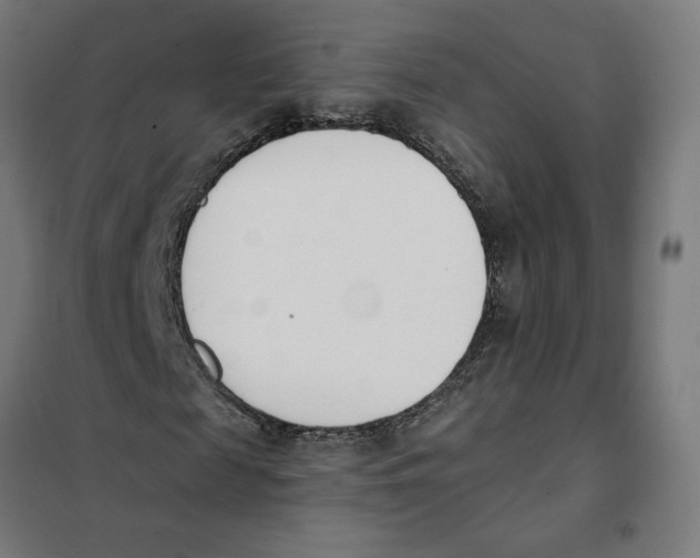 X0000101200817200807251023