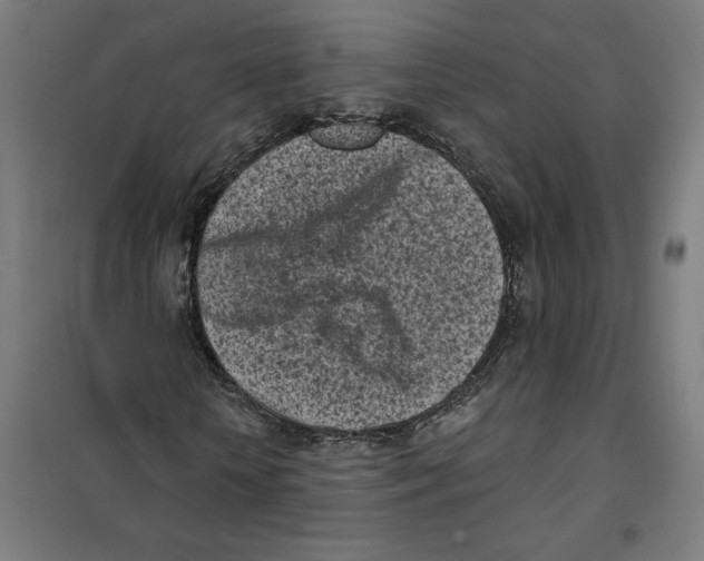 X0000101200818200807251023